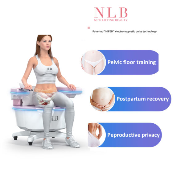 EMS Pelvic Floor Dysfunction, Urinary incontinence Treatment and Strengthening Chair
